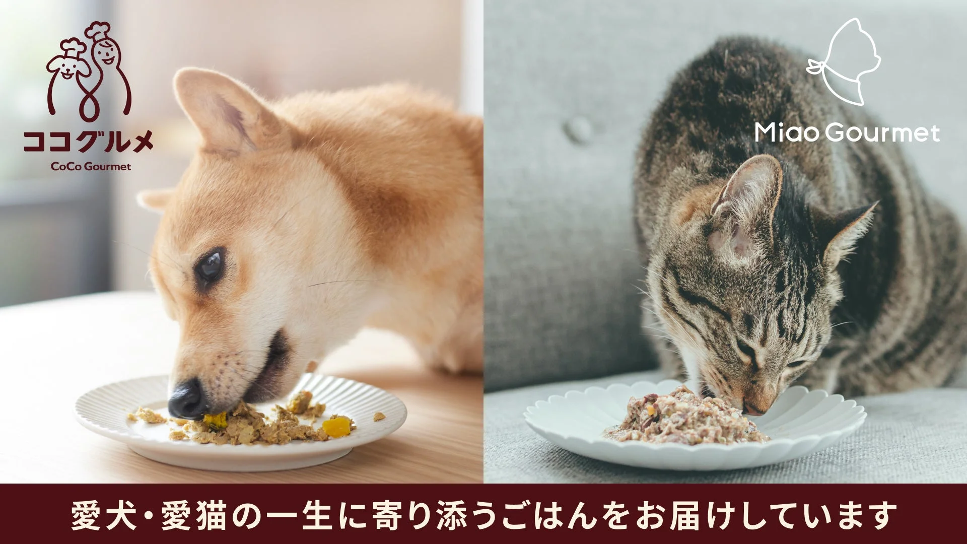 ココグルメとミャオグルメ