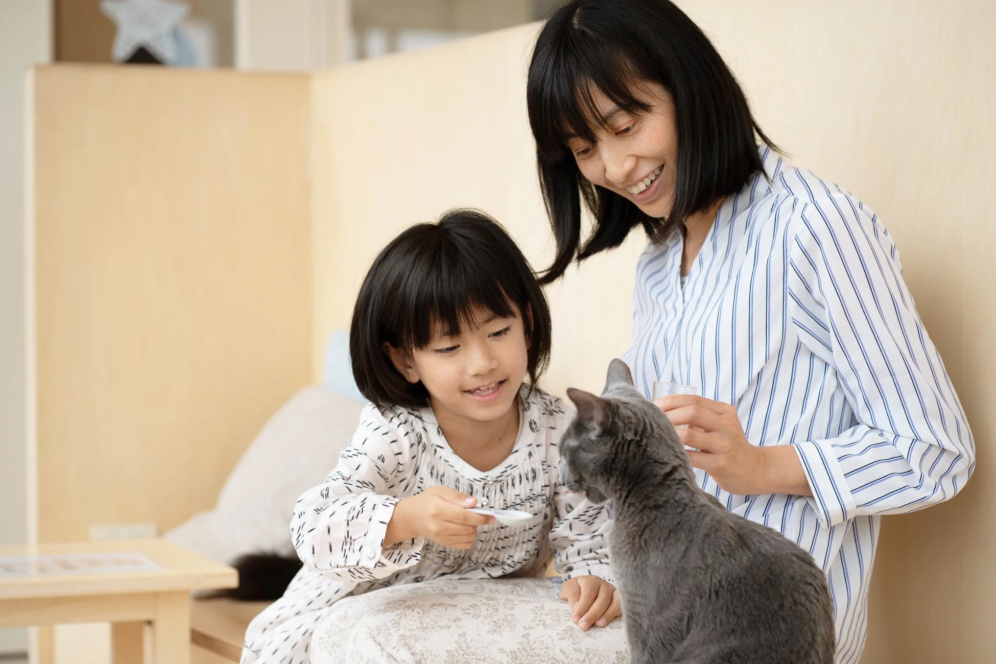 家族と猫の触れ合い