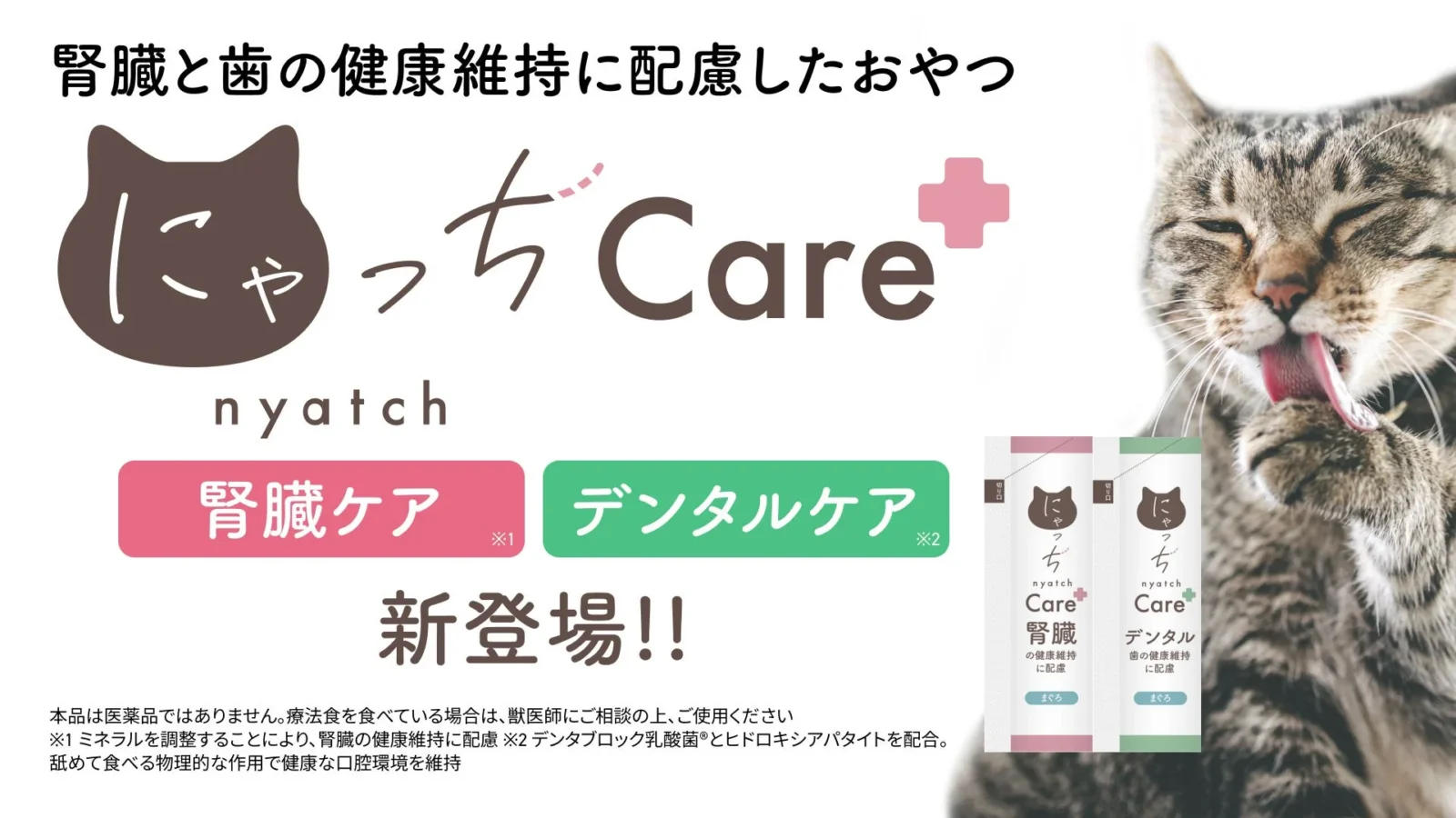 愛猫の健康を毎日のおやつでサポート！「にゃっちCare+」から腎臓・デンタルケアの2種が新登場