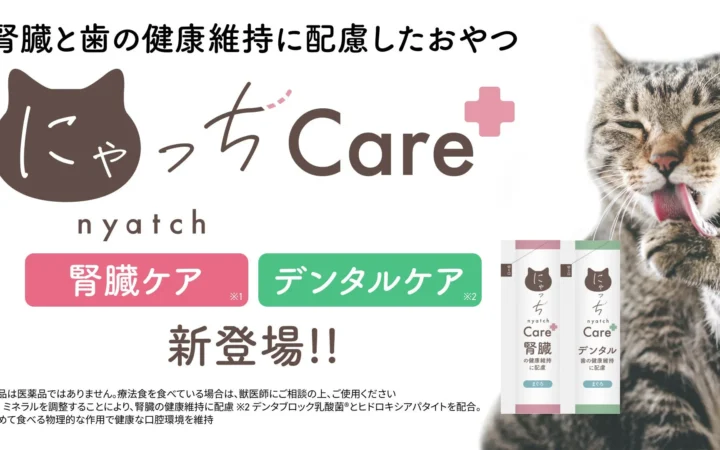 愛猫の健康を毎日のおやつでサポート！「にゃっちCare+」から腎臓・デンタルケアの2種が新登場