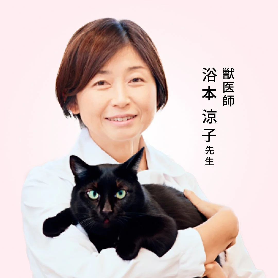 獣医師 浴本涼子 先生