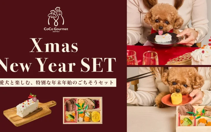 愛犬と迎える特別な年末年始！「ココグルメ」からクリスマスケーキとおせちの限定セットが登場