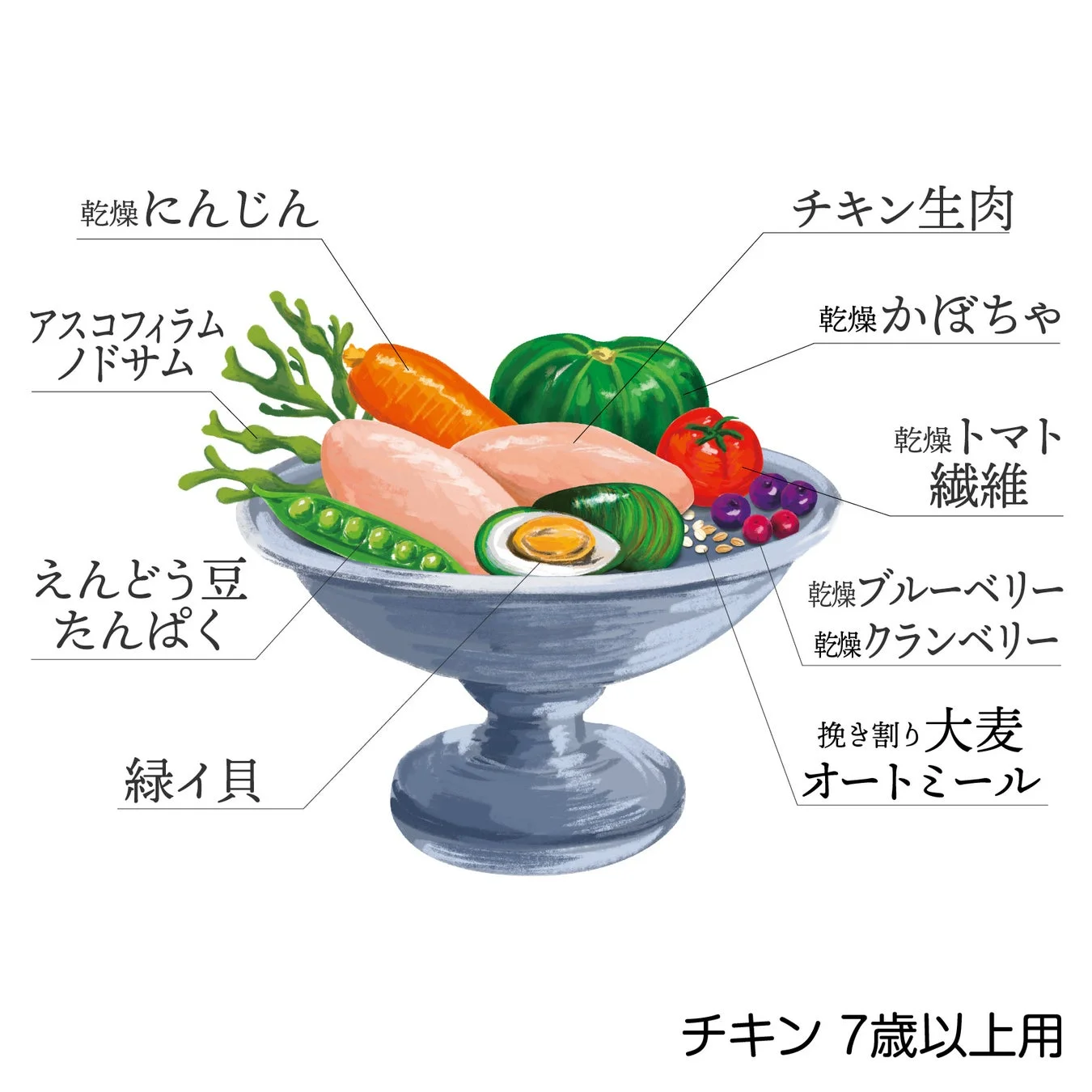 パウレ チキン 7歳以上用 主な原材料