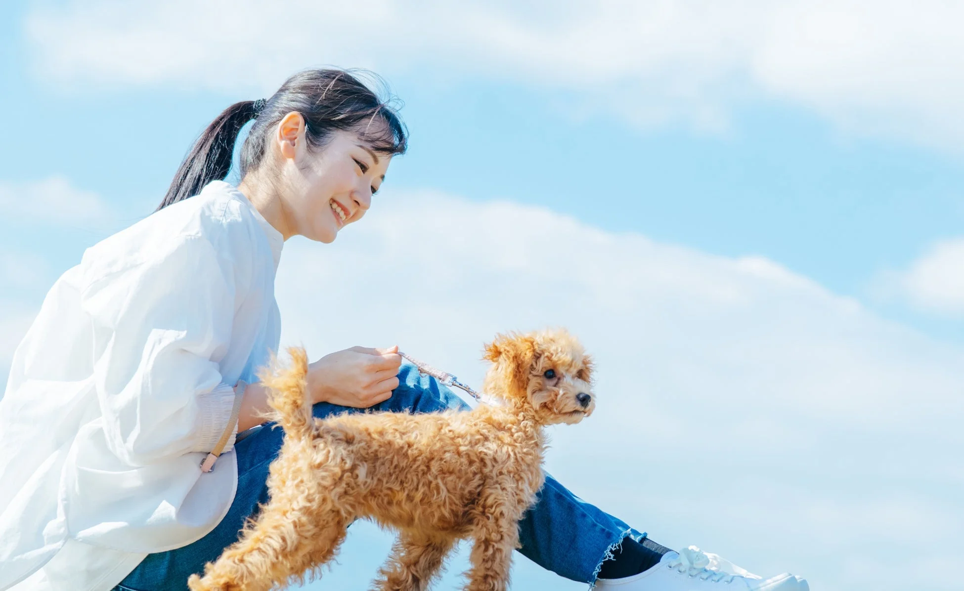 女性と犬