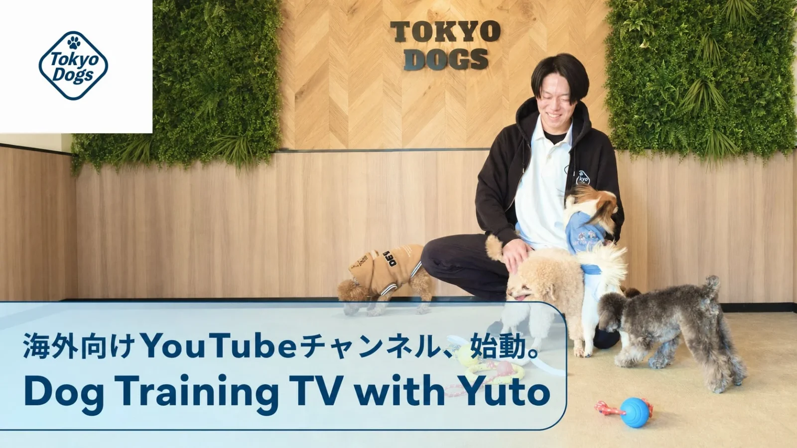 海外向け犬のしつけYouTube「Dog Training TV with Yuto」が51日で登録者3万人突破 – 東京DOGS