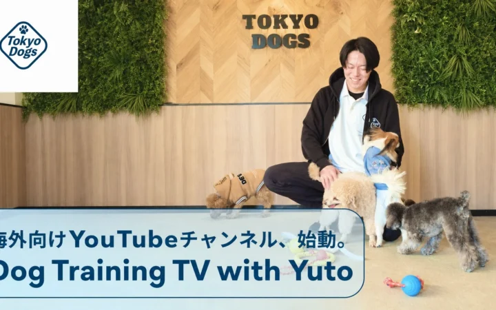 海外向け犬のしつけYouTube「Dog Training TV with Yuto」が51日で登録者3万人突破 – 東京DOGS