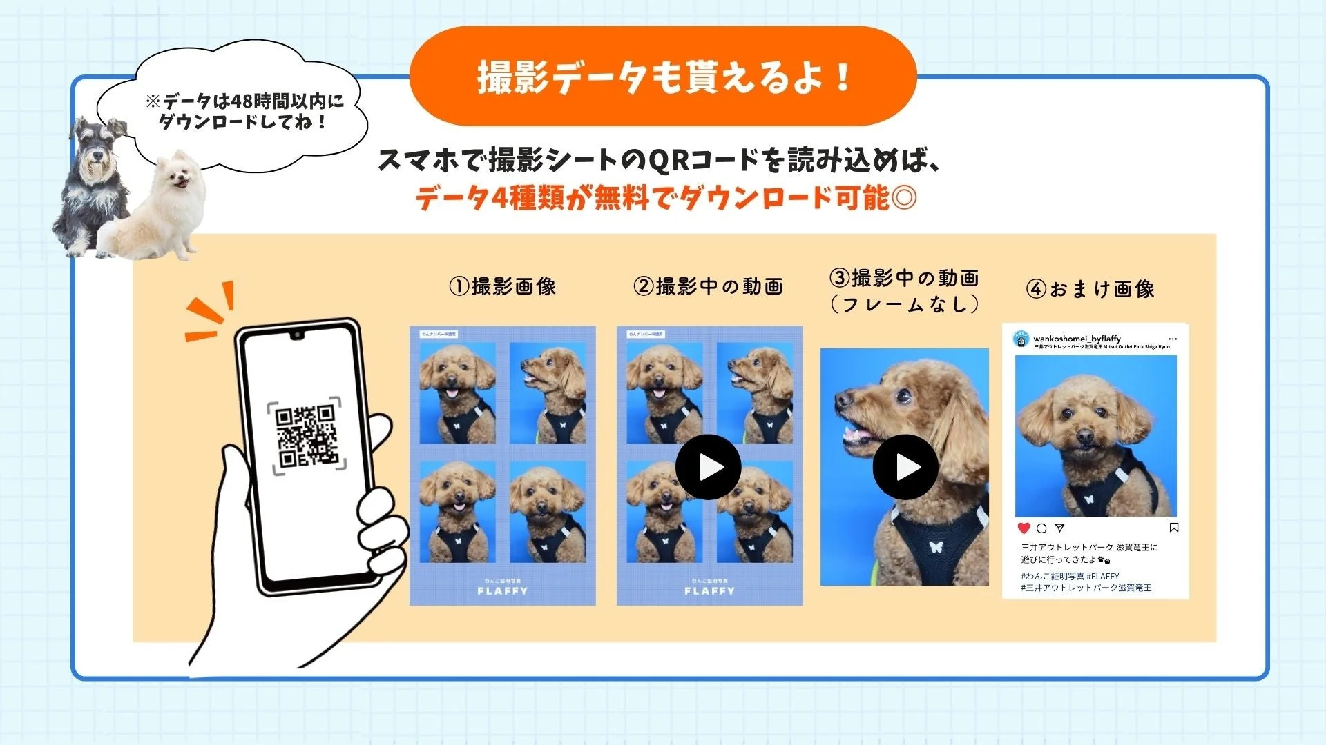 撮影データと動画のダウンロード