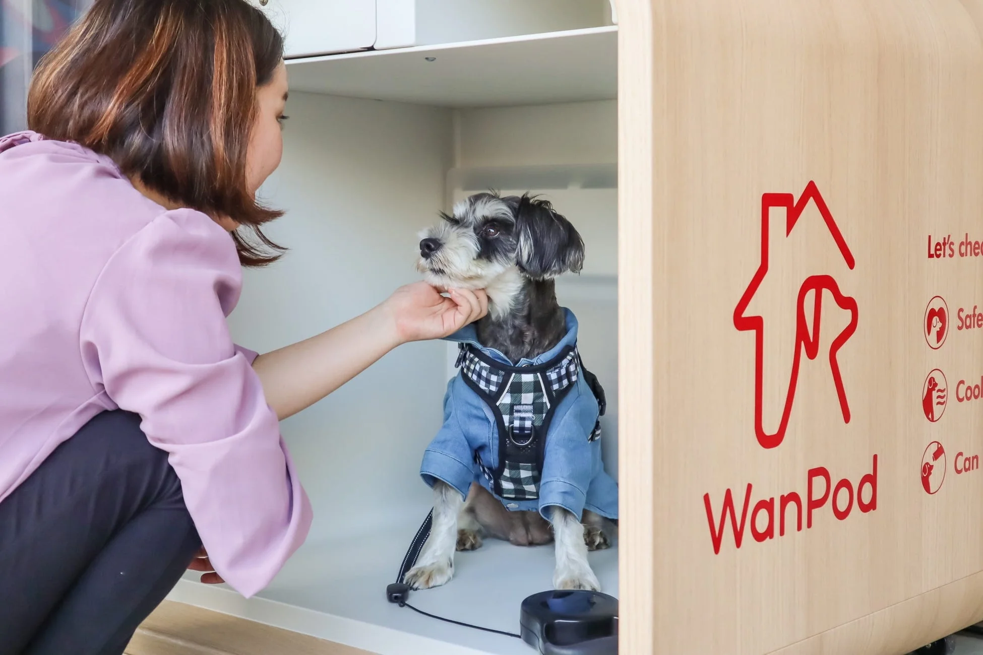 WanPodと女性、犬