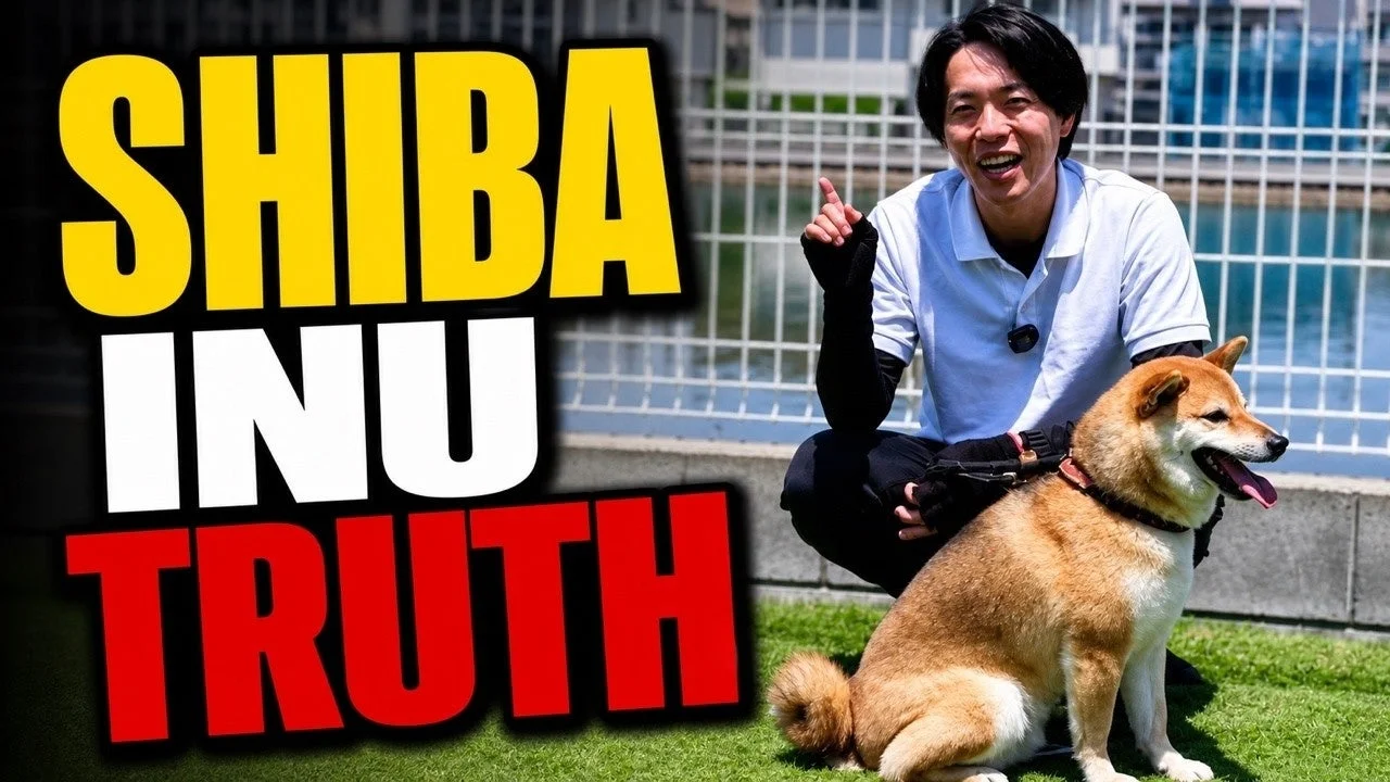 男性トレーナーと柴犬