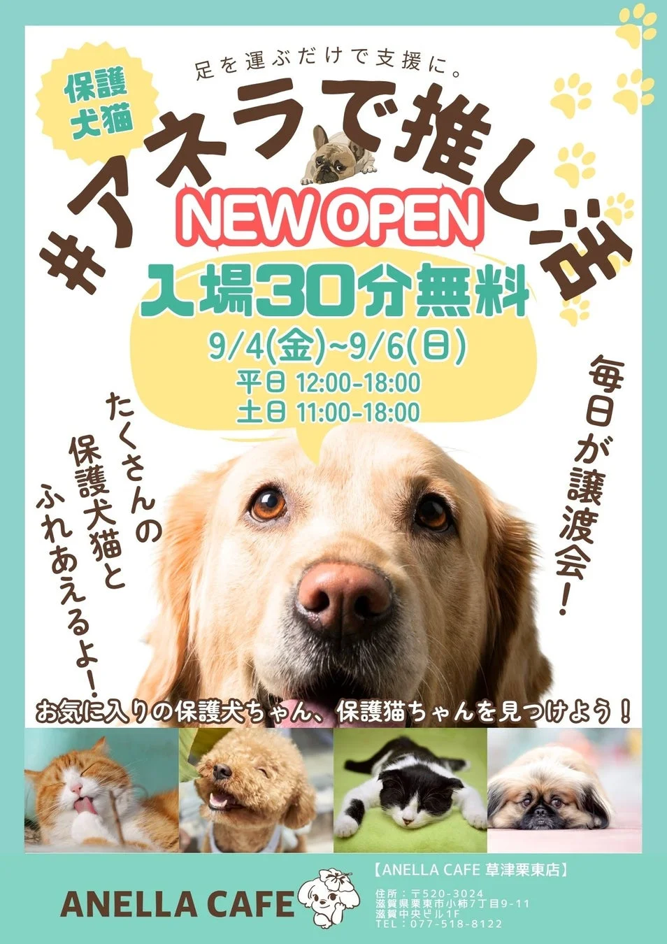 オープン記念キャンペーンポスター