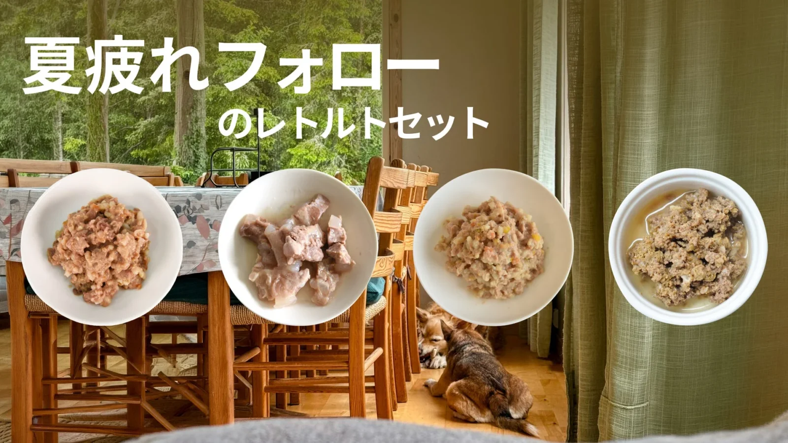 POCHI、夏の疲れを癒やす犬用レトルトセットを数量限定で販売開始