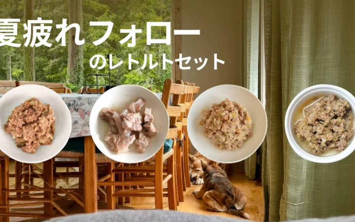 POCHI、夏の疲れを癒やす犬用レトルトセットを数量限定で販売開始
