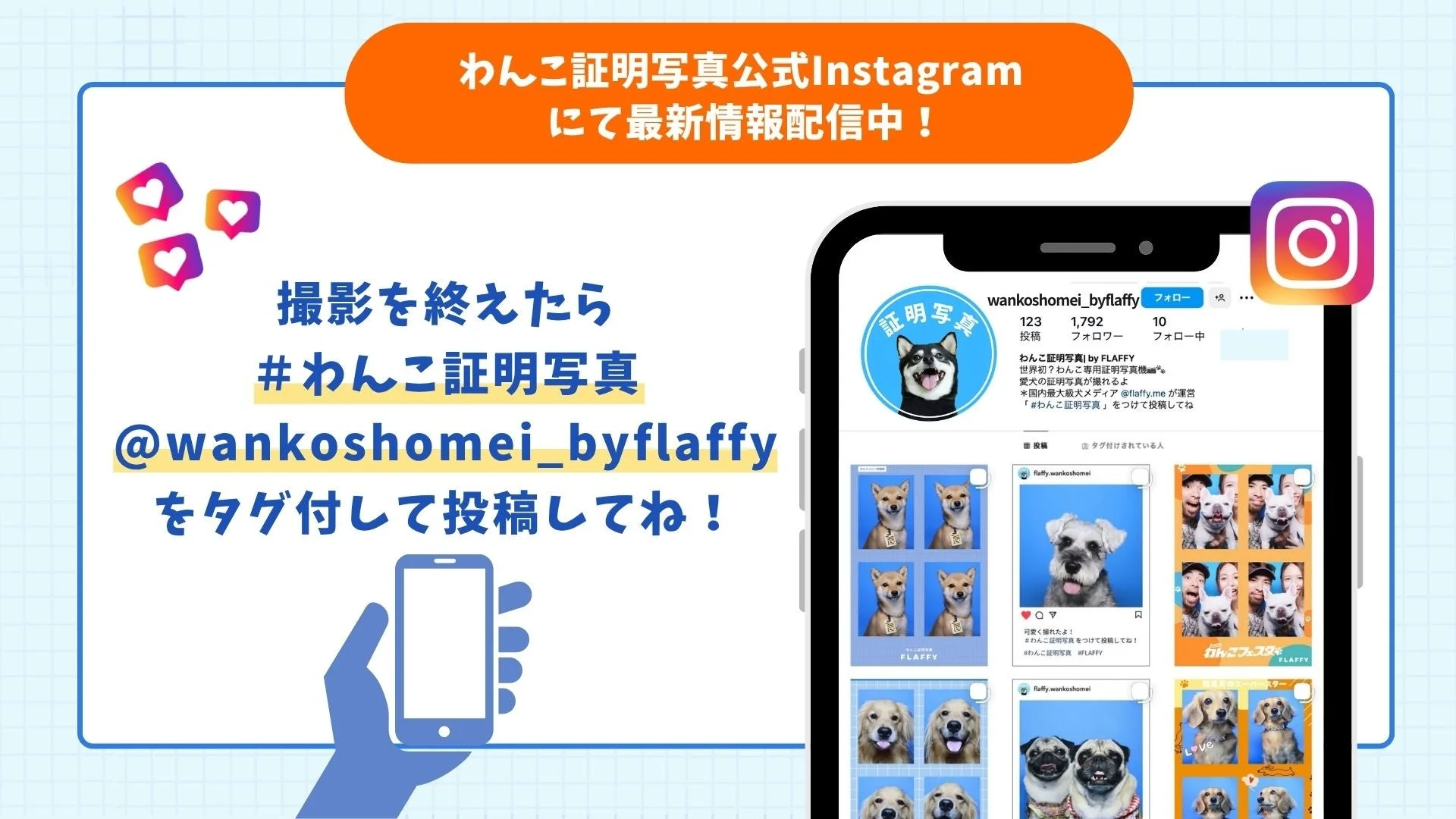 「わんこ証明写真」公式Instagram