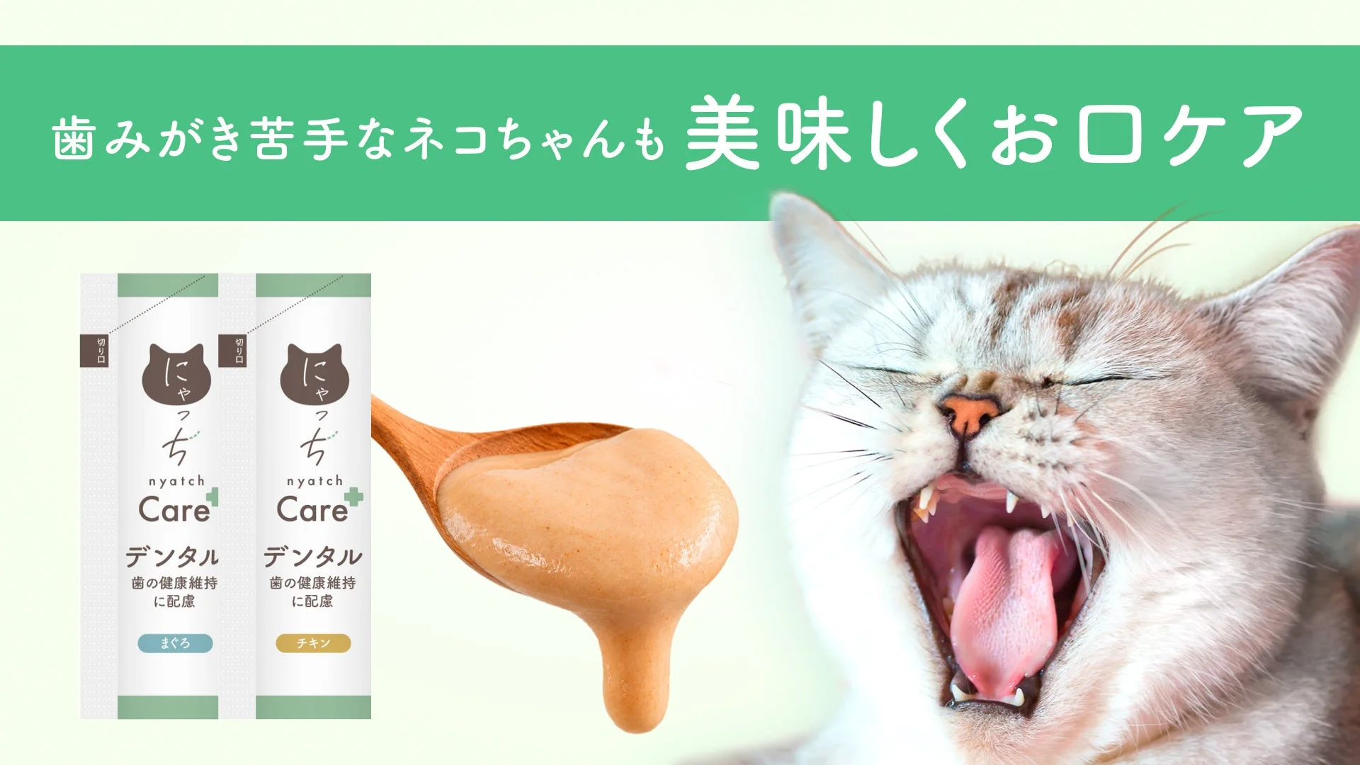 歯みがき苦手なネコちゃんも美味しくおロケア