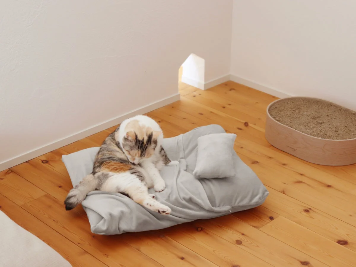 ペットベッドで毛づくろいをする猫