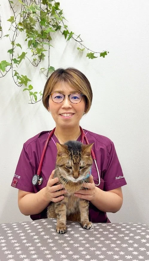 紫色のスクラブを着た藤井和恵氏が猫を抱く写真