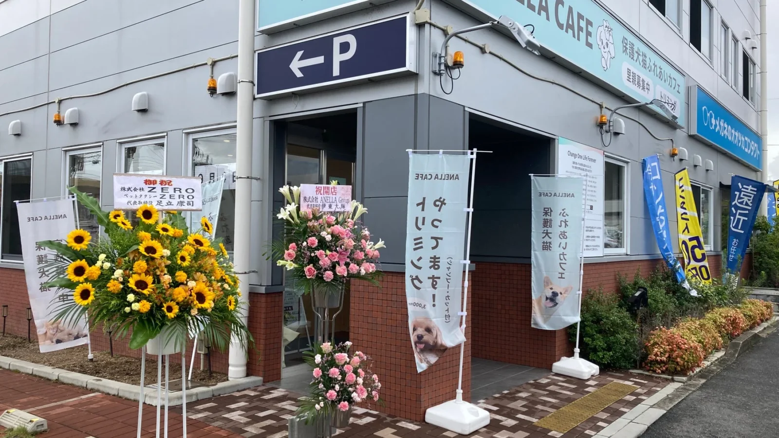 滋賀県初！保護犬猫ふれあいカフェ「ANELLA CAFE 草津栗東店」が9月4日オープン！動物と人の温かい絆を育む新たな拠点