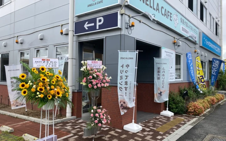 滋賀県初！保護犬猫ふれあいカフェ「ANELLA CAFE 草津栗東店」が9月4日オープン！動物と人の温かい絆を育む新たな拠点
