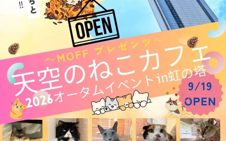 空の上の猫カフェが帰ってくる！茨城県霞ケ浦の『天空のねこカフェ』第2弾が9月19日より開催