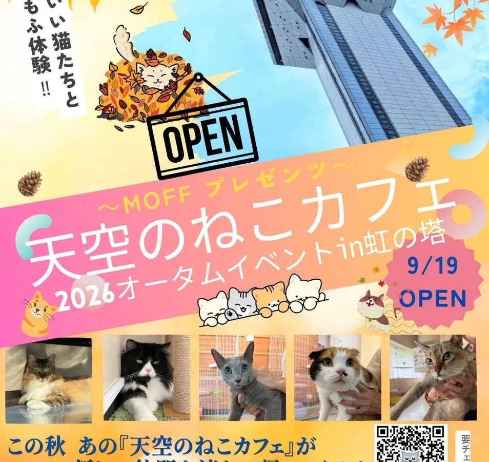 空の上の猫カフェが帰ってくる！茨城県霞ケ浦の『天空のねこカフェ』第2弾が9月19日より開催