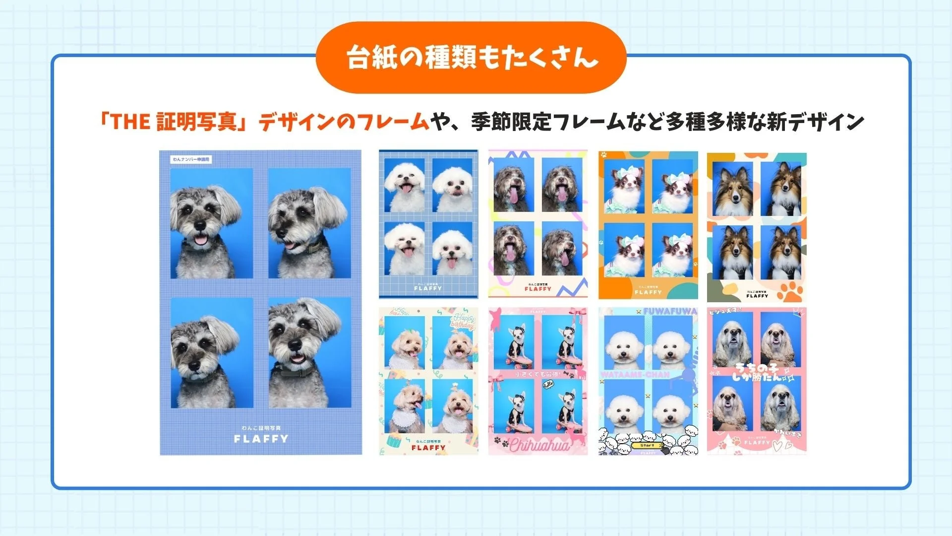 約70種類以上のフレームデザイン