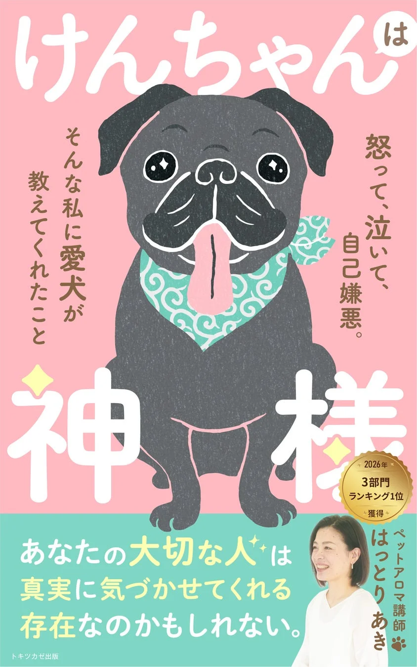 書籍『けんちゃんは神様』の表紙