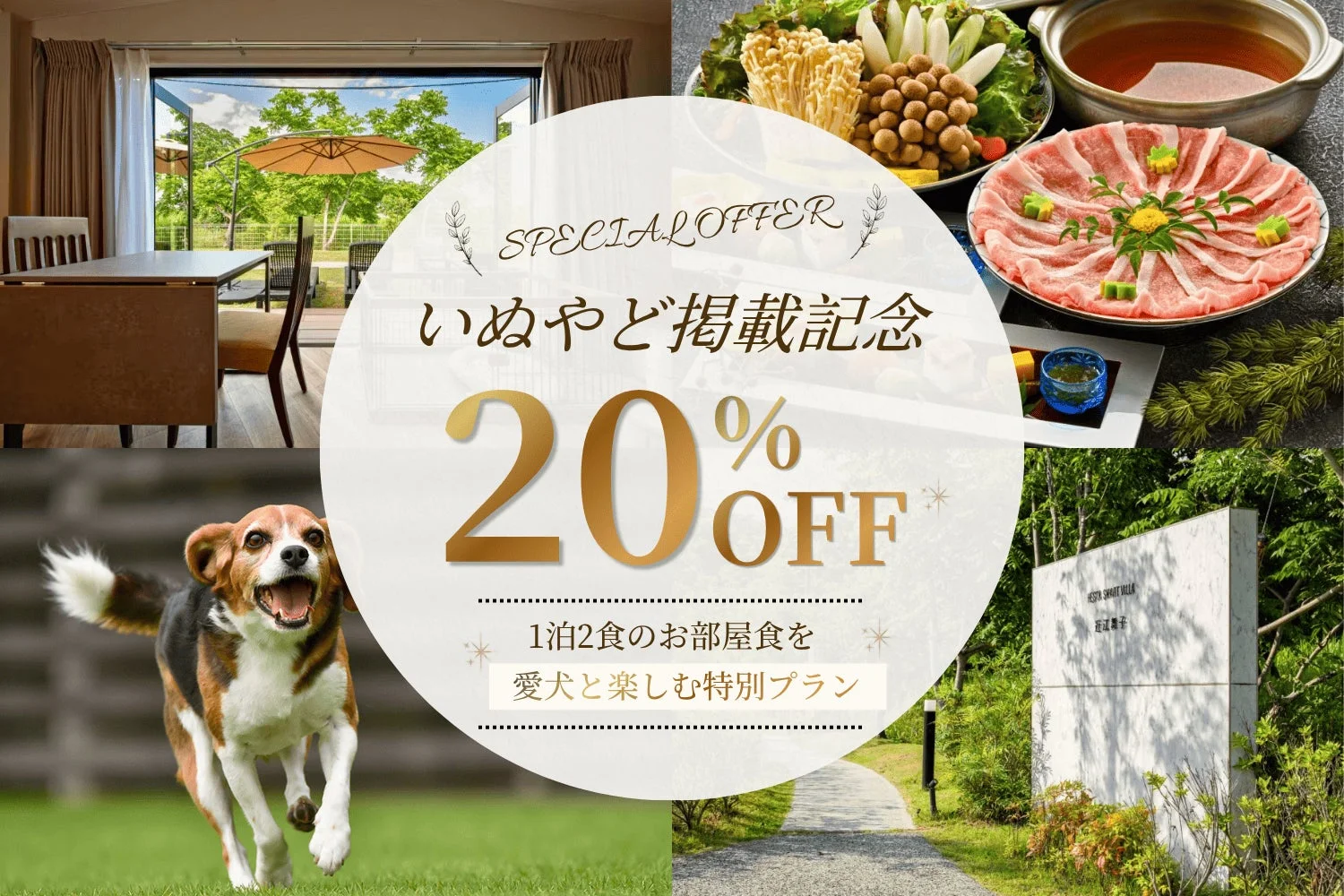 20%OFF特別プラン