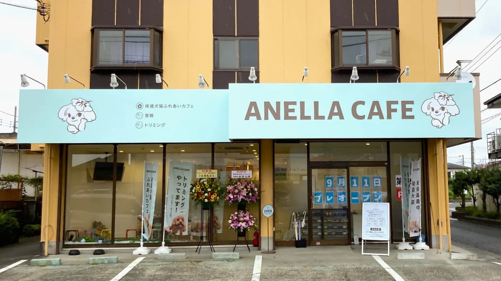 保護犬猫カフェ「ANELLA CAFE 相模原橋本店」が9月11日オープン！福祉連携で人と動物の“やさしい循環”を地域に