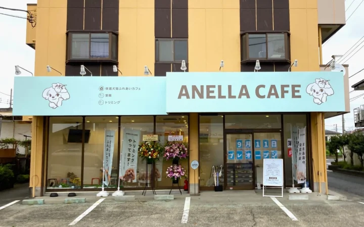 保護犬猫カフェ「ANELLA CAFE 相模原橋本店」が9月11日オープン！福祉連携で人と動物の“やさしい循環”を地域に