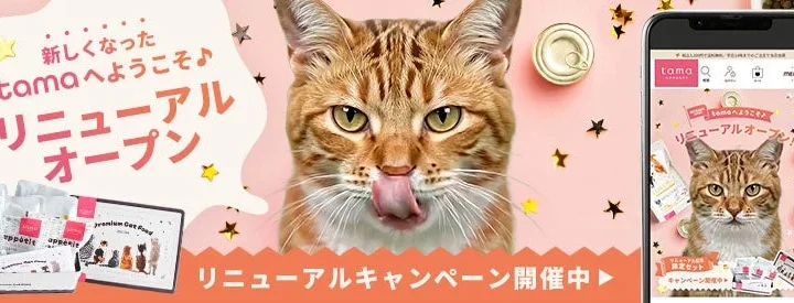 プレミアムキャットフード「たまのおねだり（tama）」がサイト全面リニューアル – 欲しい商品がより探しやすく、スマホ利用もさらに便利に