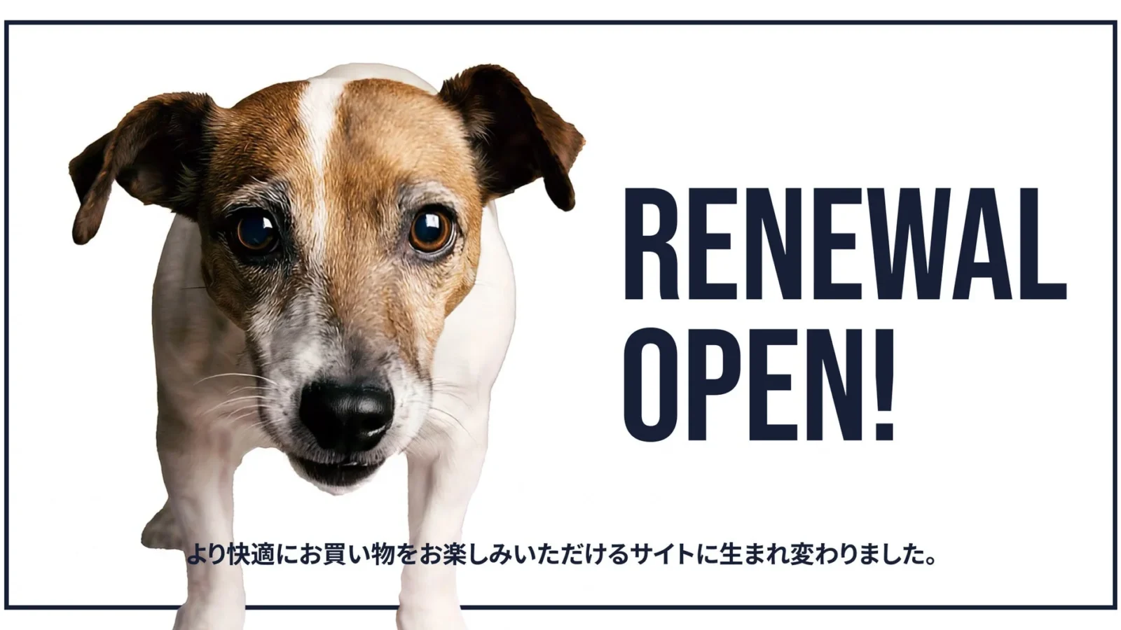 POCHI、販売サイトを全面リニューアル！快適なショッピングと特別なキャンペーンを展開