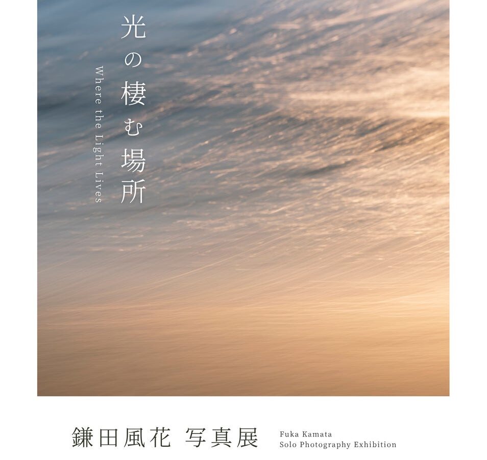 写真家 鎌田風花氏の初の個展となる写真展「光の凄む場所」を カメラのキタムラ 大阪・なんばCITY店にて開催