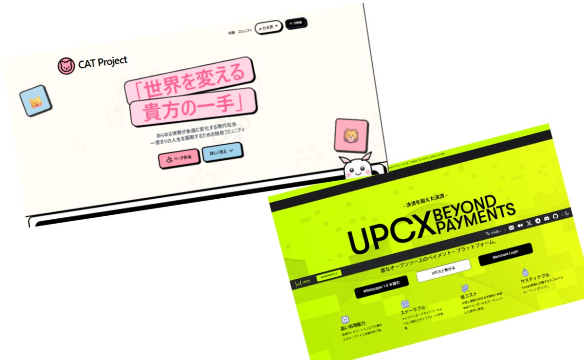 『 CAT Project 』をきっかけに 、Web3などの新しい可能性を学ぶ！