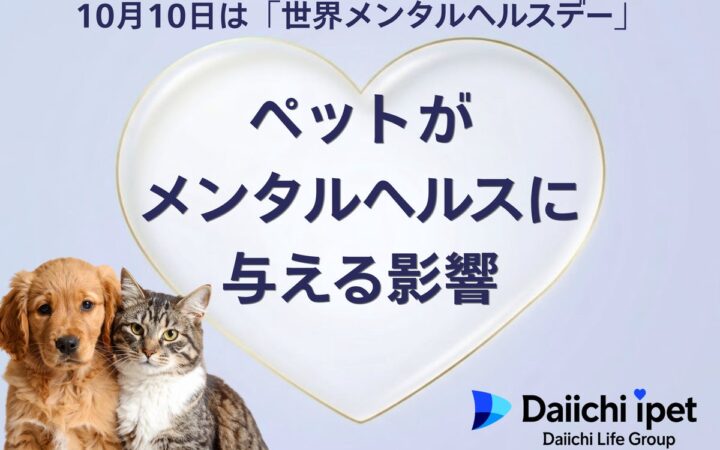【第一アイペット】ストレス解消法1位は「ペットと触れ合う」。ペットがメンタルヘルスに与える影響調査