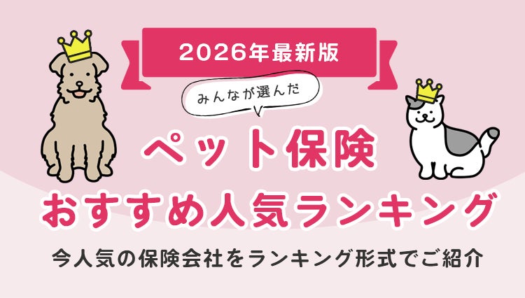 【ペット保険ランキング】2026年10月最新版｜実際の申込数から見る人気TOP5を発表